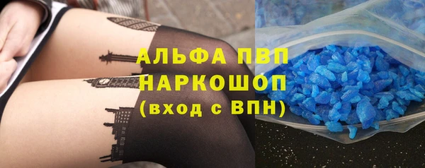 гидра Белокуриха