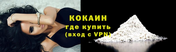 гидра Белокуриха