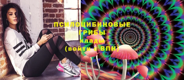 гидра Белокуриха