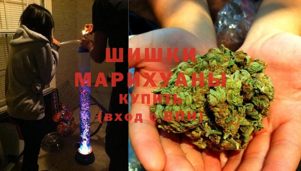 гидра Белокуриха