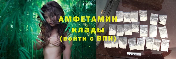 гидра Белокуриха